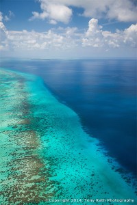 barrier_reef